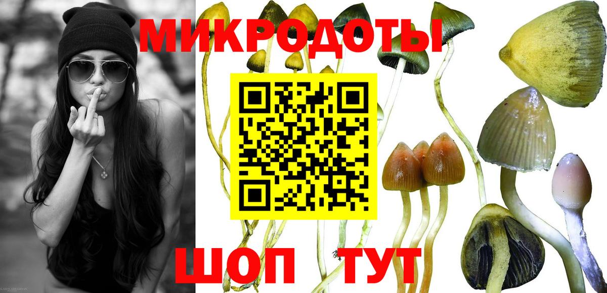 Псилоцибиновые грибы мицелий Заводоуковск