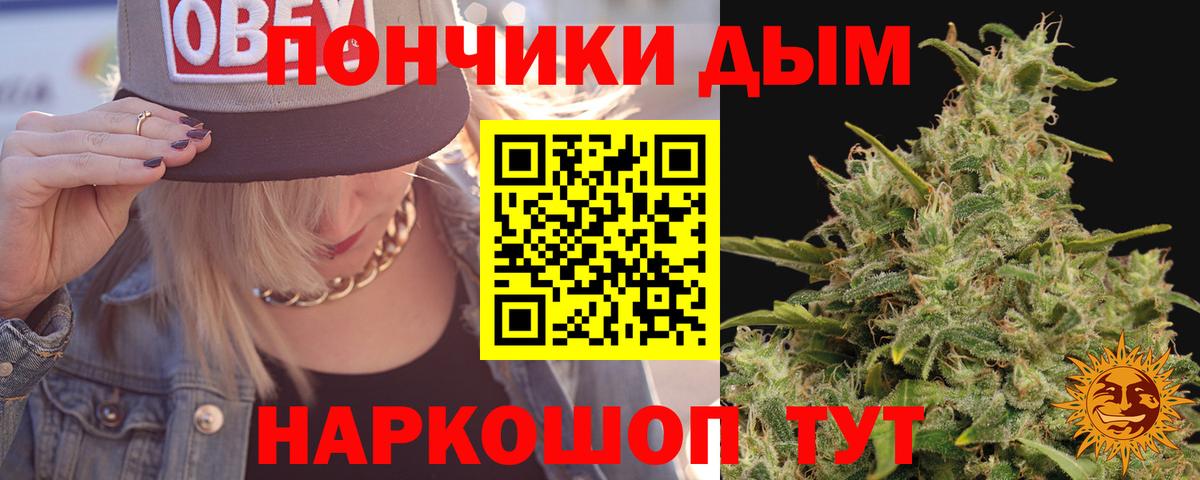 Каннабис семена Заводоуковск
